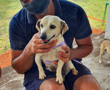 209 animais foram atendidos no Programa Permanente de Esterilização deCães e Gatos (CastraPet Paraná), em Arapongas, no Norte-CentralParanaense. A ação começou no domingo (12) e terminou nessa quarta-feira(15). -  Curitiba,  15/09/2021  -  Foto: SEDEST