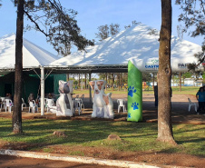209 animais foram atendidos no Programa Permanente de Esterilização deCães e Gatos (CastraPet Paraná), em Arapongas, no Norte-CentralParanaense. A ação começou no domingo (12) e terminou nessa quarta-feira(15). -  Curitiba,  15/09/2021  -  Foto: SEDEST