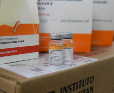 O Paraná recebeu mais 187.800 vacinas contra a Covid-19 da CoronaVac/Butantan neste sábado (4). As vacinas foram entregues no Centro de Medicamentos do Paraná (Cemepar) para conferência e armazenamento até que sejam descentralizados. A remessa faz parte da 47ª pauta de distribuição.  -  Curitiba, 04/09/2021  -  Foto: Américo Antonio/SESA