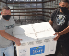 O Paraná recebeu no início da tarde deste sábado (18) mais 363.800 vacinas contra a Covid-19 da CoronaVac. A Secretaria de Estado da Saúde confirmou a chegada ao Estado de duas remessas, que desembarcaram no aeroporto Afonso Pena, em São José dos Pinhais, às 12h55, no voo LA 3443, e às 13h55, no voo AD 4830. -  Curitiba, 18/09/2021  -  Foto: Américo Antonio/SESA