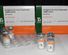 O Paraná recebeu no início da tarde deste sábado (18) mais 363.800 vacinas contra a Covid-19 da CoronaVac. A Secretaria de Estado da Saúde confirmou a chegada ao Estado de duas remessas, que desembarcaram no aeroporto Afonso Pena, em São José dos Pinhais, às 12h55, no voo LA 3443, e às 13h55, no voo AD 4830. -  Curitiba, 18/09/2021  -  Foto: Américo Antonio/SESA