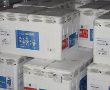 O Paraná recebeu no início da tarde deste sábado (18) mais 363.800 vacinas contra a Covid-19 da CoronaVac. A Secretaria de Estado da Saúde confirmou a chegada ao Estado de duas remessas, que desembarcaram no aeroporto Afonso Pena, em São José dos Pinhais, às 12h55, no voo LA 3443, e às 13h55, no voo AD 4830. -  Curitiba, 18/09/2021  -  Foto: Américo Antonio/SESA