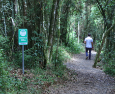 Salto São João. Prudentópolis - 02-2021