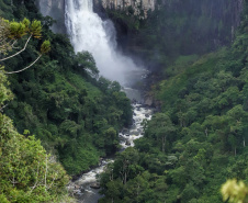 Salto São João. Prudentópolis - 02-2021