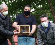 No Dia Mundial da Fauna e Dia da Defesa da Fauna, nesta quarta-feira (22), a Secretaria do Desenvolvimento Sustentável e do Turismo (Sedest) reforçou o serviço prestado no Estado de atendimento aos animais silvestres.  -  Curitiba, 23/09/2021  -  Foto: Alessandro Vieira/AEN