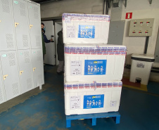 Paraná recebe 55,2 mil vacinas contra a Covid-19 para segunda dose; 229,3 mil chegam à noite  -  Foto: Andressa Desyreé/SESA