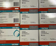 Paraná recebe 55,2 mil vacinas contra a Covid-19 para segunda dose; 229,3 mil chegam à noite  -  Foto: Andressa Desyreé/SESA