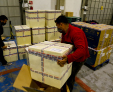 Primeiras doses exclusivas para adolescentes de 12 a 17 anos chegam ao Paraná.
Foto Gilson Abreu/AEN