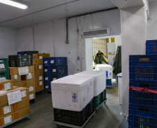 25.09.2021 - Distribuição  de vacinas no Cemepar para cidades do Paraná
Foto Gilson Abreu/AEN