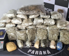 A Polícia Civil do Paraná (PCPR) apreendeu 1.492,46 quilos de maconha do crime organizado, na noite de sexta-feira (24), em estacionamentos na região central de Curitiba. Um homem e duas mulheres, de 27, 28 e 35 anos, foram presos em flagrante pelos crimes de tráfico de drogas, associação para o tráfico e posse ilegal de arma de fogo.  -  Curitiba, 27/09/2021  -  Foto: Polícia Civildo Paraná