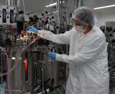 O Tecpar é o único laboratório público brasileiro a produzir a vacina antirrábica veterinária e até o final do ano irá fornecer 19 milhões de doses ao Ministério da Saúde, com o propósito de realizar campanhas de vacinação de cães e gatos em todo o país. Foto: Tecpar