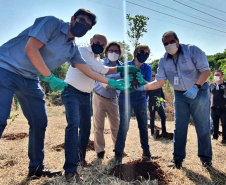 Em Maringá, centenas de objetos foram retirados das margens do Mandacaru  -  Foto: Sanepar