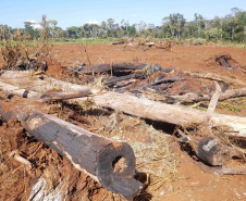 IAT e Polícia Ambiental renovam parceria na fiscalização do Estado. Foto:SEDEST