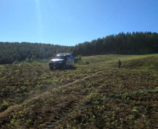 IAT e Polícia Ambiental renovam parceria para a fiscalização de irregularidades. Foto: Batalhão de Polícia Ambiental-Força Verde (BPAmb-FV)