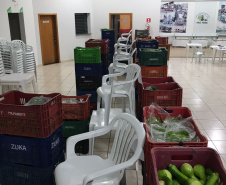 Nova cooperativa regional vai fortalecer agricultura familiar no Noroeste. Foto:Márcio José Serenini/SEAB
