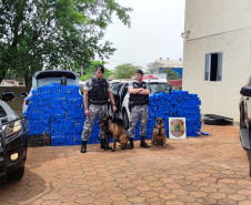 Os esforços da Polícia Militar e da Polícia Federal para reprimir o crime organizado no Norte do Paraná resultaram na apreensão de mais de uma tonelada de maconha na quarta-feira (29/09), em Bela Vista do Paraíso (PR).  - 30/09/2021  -  Foto: PMPR