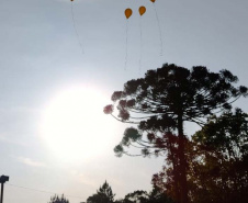 O Departamento Penitenciário do Paraná encerra nesta quinta-feira (30), as atividades da campanha setembro amarelo, que tem como objetivo promover ações de valorização da vida e o combate ao suicídio no sistema prisional. Durante todo o mês, presos e servidores, receberam informações e debateram sobre o tema por meio de uma série de ações. -  Curitiba, 30/09/2021  -  Foto: DEPEN-PR