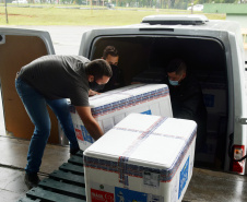 Paraná recebe 137,2 mil vacinas contra a Covid-19 para segunda dose; 176,6 mil para dose reforço chegam no sábado  -  Curitiba, 01/10/2021  -  Foto: Américo Antonio/SESA