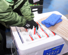 Paraná recebe 137,2 mil vacinas contra a Covid-19 para segunda dose; 176,6 mil para dose reforço chegam no sábado  -  Curitiba, 01/10/2021  -  Foto: Américo Antonio/SESA