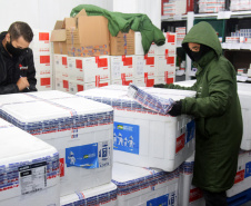 Paraná recebe 137,2 mil vacinas contra a Covid-19 para segunda dose; 176,6 mil para dose reforço chegam no sábado  -  Curitiba, 01/10/2021  -  Foto: Américo Antonio/SESA