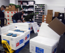 Paraná recebe 137,2 mil vacinas contra a Covid-19 para segunda dose; 176,6 mil para dose reforço chegam no sábado  -  Curitiba, 01/10/2021  -  Foto: Américo Antonio/SESA