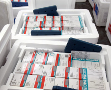Paraná recebe 137,2 mil vacinas contra a Covid-19 para segunda dose; 176,6 mil para dose reforço chegam no sábado  -  Curitiba, 01/10/2021  -  Foto: Américo Antonio/SESA