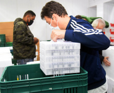 O Paraná recebeu mais 176.670 vacinas da Pfizer/BioNTech contra a Covid-19 neste sábado (2).  -  Curitiba, 02/10/2021  -  Foto: Américo Antonio/SESA