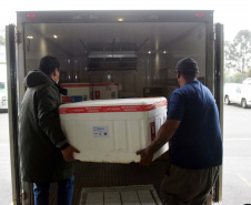 
Saúde distribui primeiras vacinas para reforço de idosos acima de 60 anos e trabalhadores da saúde e anuncia chegada de novos lotes dos imunizantes . Foto: Américo Antonio/SESA