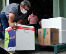 Com mais 124,2 mil vacinas, Saúde encerra a semana com um milhão de imunizantes contra a Covid-19 distribuídos aos municípios  -  Curitiba, 08/10/2021  -  Foto: Américo Antonio/SESA