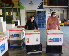 Com mais 124,2 mil vacinas, Saúde encerra a semana com um milhão de imunizantes contra a Covid-19 distribuídos aos municípios  -  Curitiba, 08/10/2021  -  Foto: Américo Antonio/SESA