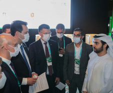 Governador e empresários paranaenses se reúnem com investidores em Dubai. Foto: Governo do Paraná
