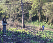 A Seção de Crimes Ambientais, vinculada ao Instituto de Criminalística da Polícia Científica do Paraná, desde a sua criação, em dezembro de 2019, tem atuado com peritos criminais, especialistas na área, com intuito de comprovar a prática de condutas criminosas contra a fauna, a flora e à natureza no geral. - Curitiba, 14/10/2021 - Foto: SESP-PR