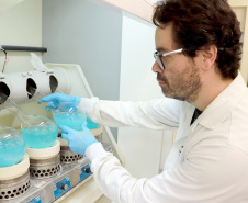 Decreto federal estabelece novas regras para registro e pesquisa de agrotóxicos
- Foto: Tecpar