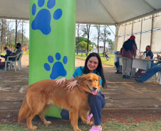 Em três municípios do Norte Pioneiro do Estado, 463 animais são aguardados para o Programa Permanente de Esterilização de Cães e Gatos ? CastraPet Paraná até o final deste mês. A ação é promovida pela Secretaria do Desenvolvimento Sustentável e do Turismo (Sedest), em parceria com os municípios, que realizam o cadastro das famílias beneficiadas. - Curitiba, 18/10/2021 - Foto: SEDEST