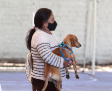 Em três municípios do Norte Pioneiro do Estado, 463 animais são aguardados para o Programa Permanente de Esterilização de Cães e Gatos ? CastraPet Paraná até o final deste mês. A ação é promovida pela Secretaria do Desenvolvimento Sustentável e do Turismo (Sedest), em parceria com os municípios, que realizam o cadastro das famílias beneficiadas. - Curitiba, 18/10/2021 - Foto: SEDEST