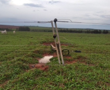 Já passa de 20 mil o total de ocorrências atendidas pela Copel desde o início do temporal da última semana. Somente ontem, cerca de 1,8 mil eletricistas estiveram em campo trabalhando na recomposição dos estragos provocados nas redes elétricas pelo segundo pior evento climático enfrentado pela empresa em toda a sua história.  - Curitiba, 18/10/2021 - Foto: Copel