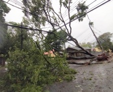 Já passa de 20 mil o total de ocorrências atendidas pela Copel desde o início do temporal da última semana. Somente ontem, cerca de 1,8 mil eletricistas estiveram em campo trabalhando na recomposição dos estragos provocados nas redes elétricas pelo segundo pior evento climático enfrentado pela empresa em toda a sua história.  - Curitiba, 18/10/2021 - Foto: Copel