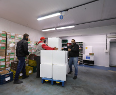 Um novo carregamento com 318.240 doses de vacinas contra a Covid-19 chega no Centro de Medicamentos do Paraná (Cemepar), em Curitiba, na noite desta terça-feira (19).   Desse total, 228.150 doses  Pfizer/BioNTech  são exclusivas para a população de 12 a 17 anos, sem comorbidades ou pertencentes a grupos prioritários.Foto: Geraldo Bubniak/AEN