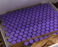 Um novo carregamento com 318.240 doses de vacinas contra a Covid-19 chega no Centro de Medicamentos do Paraná (Cemepar), em Curitiba, na noite desta terça-feira (19).   Desse total, 228.150 doses  Pfizer/BioNTech  são exclusivas para a população de 12 a 17 anos, sem comorbidades ou pertencentes a grupos prioritários.Foto: Geraldo Bubniak/AEN