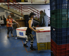 23.11.2021 Distribuição de Vacinas para regionais
Foto Gilson Abreu/AEN