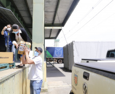 23.11.2021 Distribuição de Vacinas para regionais
Foto Gilson Abreu/AEN