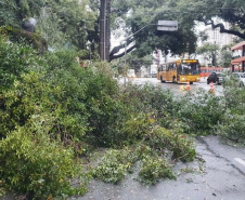 Vendaval e chuva de granizo provocam estragos em 16 municípios do estado.Foto:SEJUF