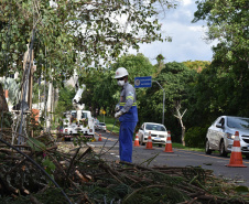 Copel avança na recomposição dos estragos causados pelo temporal. FOTO: Copel