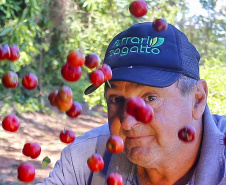 22.11.2021- Produção de acerola em Japurá.
Mauro Aparecido Zani .
Foto Gilson Abreu/AEN