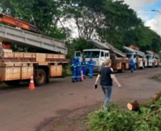 CASCAVEL - Os temporais que castigaram as regiões Sudoeste, Oeste, Noroeste e Norte do Paraná no mês de outubro já causaram, somados, mais danos ao sistema elétrico da Copel do que o ciclone-bomba, evento climático excepcional que atingiu o Leste do Paraná em junho de 2020