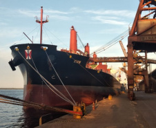 No Corredor de Exportação Leste do Porto de Paranaguá (Corex), duas operações em andamento chamam a atenção por fugirem da rotina do complexo portuário, pelo tipo de produto e modalidade de transporte adotado. A primeira pelo embarque de trigo para navegação interior (cabotagem). Outra, pelo sentido da carga e pela produtividade: 11 mil toneladas de milho de importação foram descarregadas em 24 horas. Foto: Portos do Paraná
