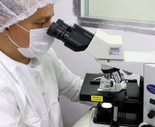 O Instituto de Tecnologia do Paraná (Tecpar) participa de um programa nacional de apoio a empresários e empreendedores que buscam orientações para desenvolver novos negócios. Trata-se do Serviço Brasileiro de Respostas Técnicas (SBRT), atendimento especializado, pela internet, que fornece gratuitamente informações técnicas a pessoas físicas e jurídicas. - Foto: Tecpar