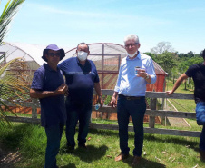 Entrega de pavimentação de estrada rural e de máquinas, caminhão e equipamentos para cooperativas de agricultura familiar, inauguração de cozinha comunitária. Estas foram algumas das ações dos secretários estaduais da Agricultura e do Abastecimento, Norberto Ortigara, e do Planejamento e Projetos Estruturantes, Valdemar Bernardo Jorge, na semana passada na região do Norte Pioneiro. - Curitiba, 08/11/2021 - Foto: SEAB