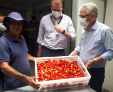 Entrega de pavimentação de estrada rural e de máquinas, caminhão e equipamentos para cooperativas de agricultura familiar, inauguração de cozinha comunitária. Estas foram algumas das ações dos secretários estaduais da Agricultura e do Abastecimento, Norberto Ortigara, e do Planejamento e Projetos Estruturantes, Valdemar Bernardo Jorge, na semana passada na região do Norte Pioneiro. - Curitiba, 08/11/2021 - Foto: SEAB