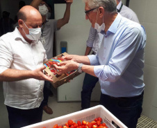 Entrega de pavimentação de estrada rural e de máquinas, caminhão e equipamentos para cooperativas de agricultura familiar, inauguração de cozinha comunitária. Estas foram algumas das ações dos secretários estaduais da Agricultura e do Abastecimento, Norberto Ortigara, e do Planejamento e Projetos Estruturantes, Valdemar Bernardo Jorge, na semana passada na região do Norte Pioneiro. - Curitiba, 08/11/2021 - Foto: SEAB
